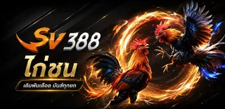 แทงไก่ชน